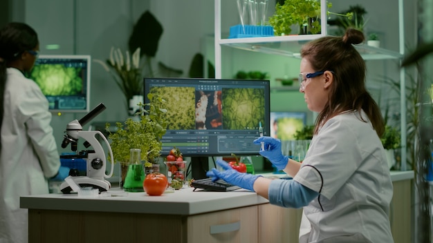 Chimiste scientifique injectant de la tomate avec des pesticides à l'aide d'une seringue médicale pour une expérience de microbiologie génétique