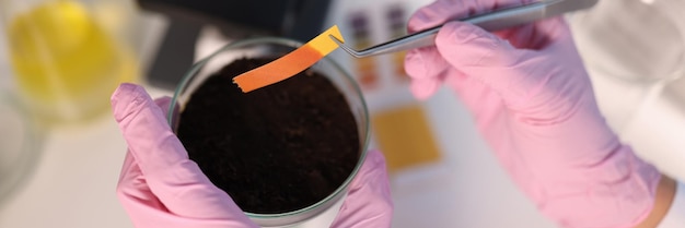 Chimiste scientifique vérifiant l'acidité du sol à l'aide de papier tournesol en gros plan de laboratoire