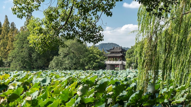 Chine Hangzhou West Lake Jardin Chinois Paysage