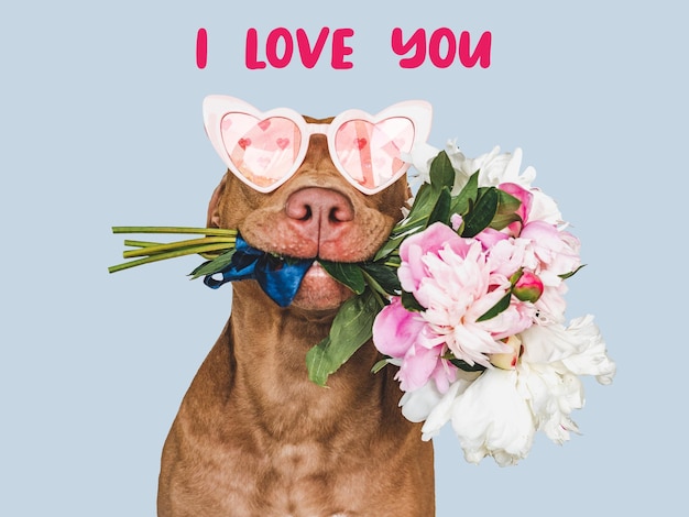 Chiot adorable et un bouquet de fleurs