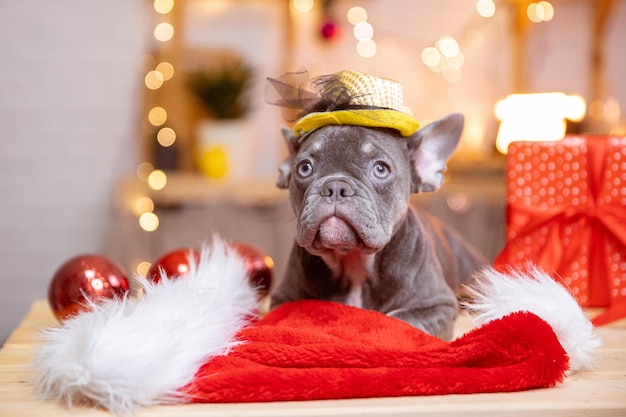 Un chiot bouledogue français sur fond d'animaux mignons du Nouvel An