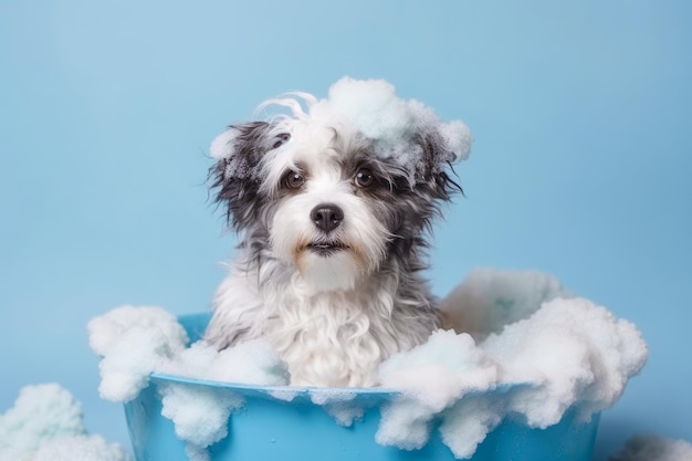 Chiot drôle assis dans la baignoire en attente de bannière de toilettage pour animalerie salon de toilettage ai génératif