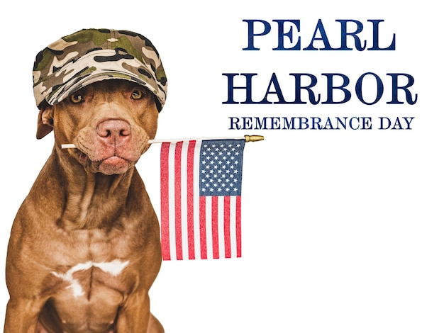 Chiot du jour du Souvenir de Pearl Harbor et drapeau américain