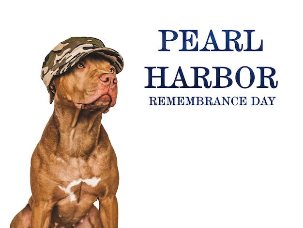 Chiot du jour du Souvenir de Pearl Harbor et drapeau américain