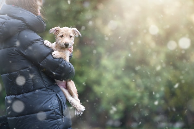 Chiot sur un fond avec flou de flou. Animal de sauvetage