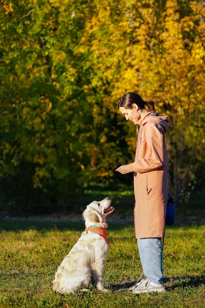 Photo chiot golden retriever avec bandana dans le parc à la recherche d'une fille en imperméable rose