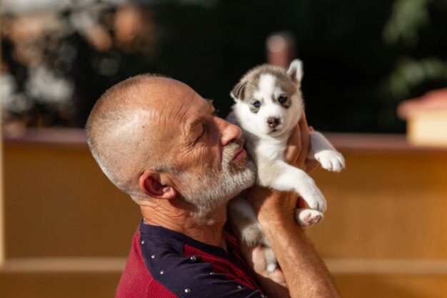 Chiot Husky sur les mains d'un homme