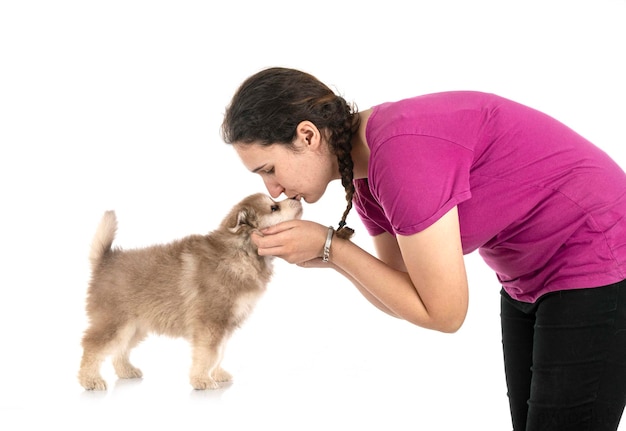 Chiot Laponie finlandaise et femme