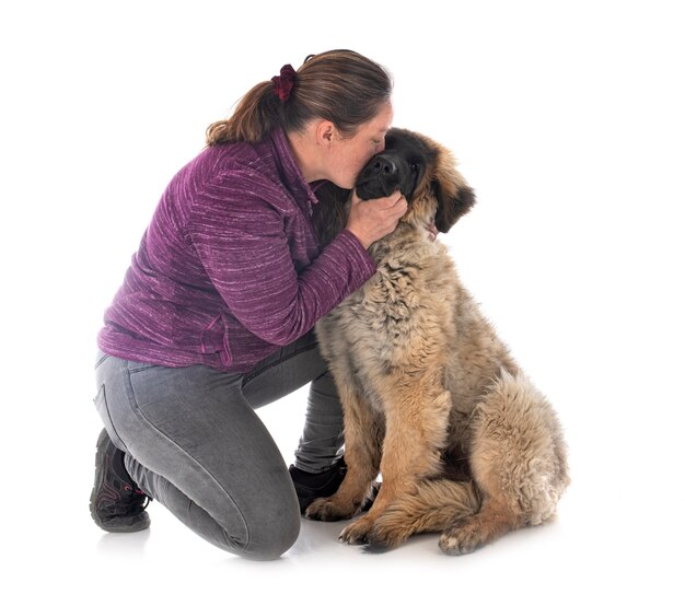 Chiot Léonberg et femme devant un mur blanc