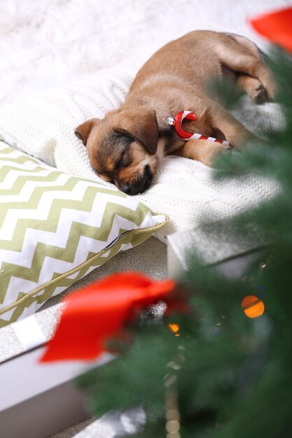 Chiot mignon dormant sur un oreiller avec un décor de Noël