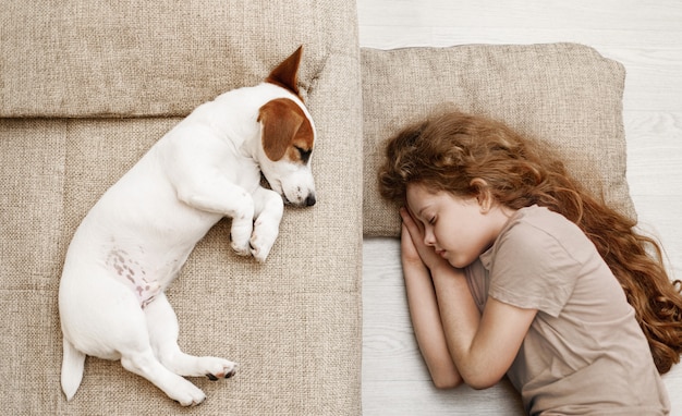 Chiot mignon dort sur le lit