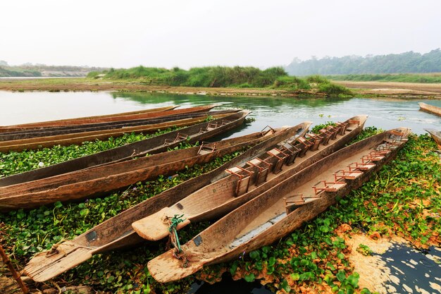 Chitwan au Népal