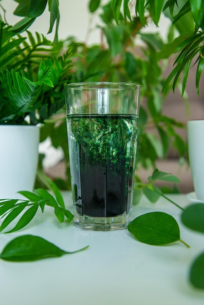 Chlorophylle liquide dans un verre Mise au point sélective