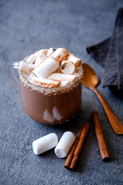 Chocolat chaud aux guimauves. Le concept de vacances douillettes et du nouvel an. L'heure d'hiver et l'heure d'automne. Concept de vacances.