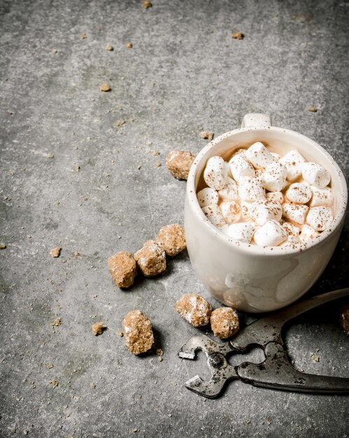 Chocolat chaud avec coupe-fil et sucre de canne