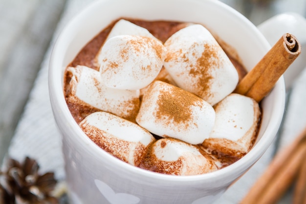 Chocolat chaud à la guimauve et pommes de pin