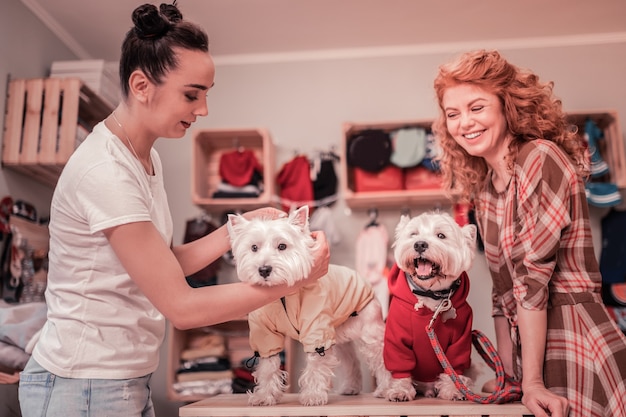 Choisir des vêtements. Vendeuse d'animalerie aidant une femme à choisir des vêtements pour chiens