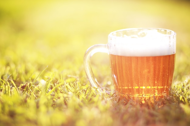 Chope de bière sur l'herbe