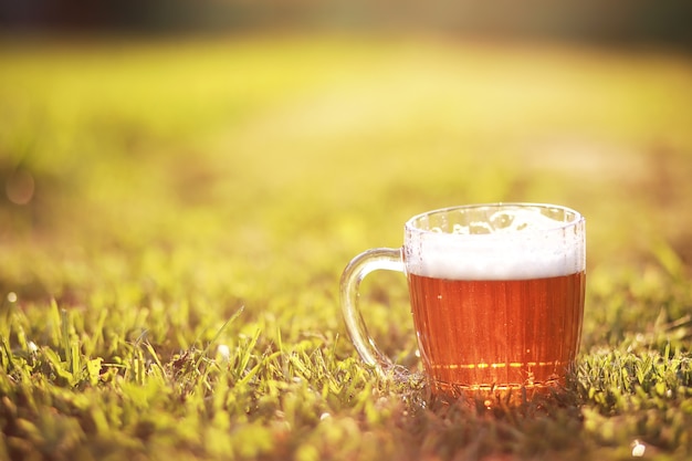 Chope de bière sur l'herbe