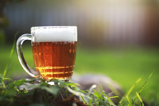 Chope de bière sur l'herbe