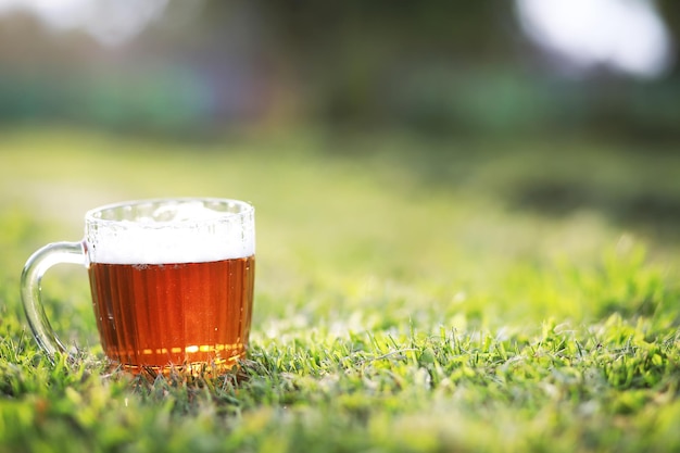 Chope de bière sur l'herbe