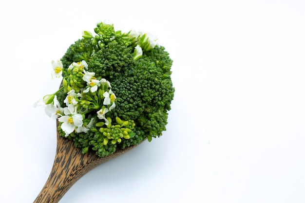 Chou brocoli bébé vert sur blanc