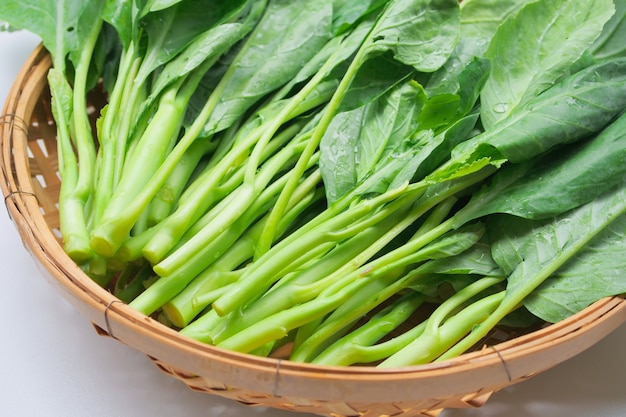 Chou chinois, légume frais, feuille verte