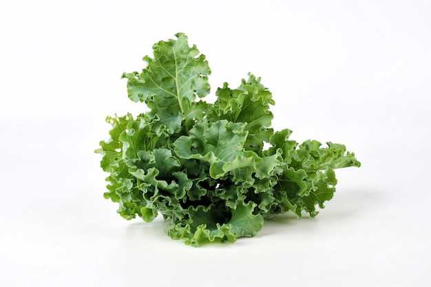 Chou vert feuille frisée sur fond blanc