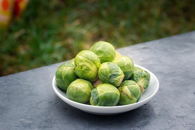 Des choux de Bruxelles sur un fond blanc