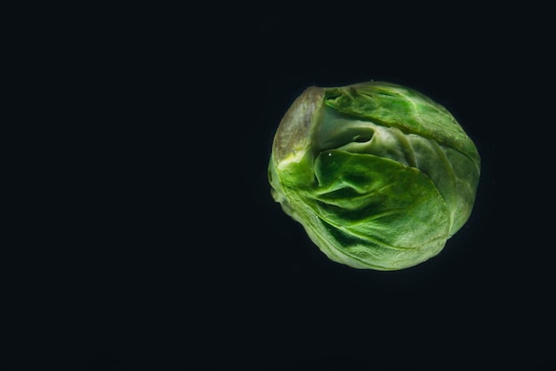 Choux de Bruxelles verts frais