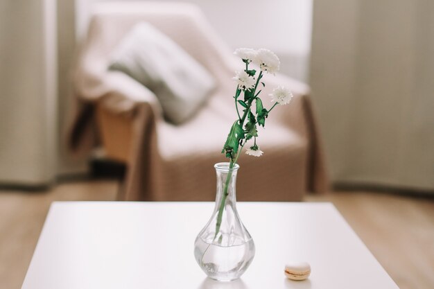 chrysanthème blanc dans un vase sur table