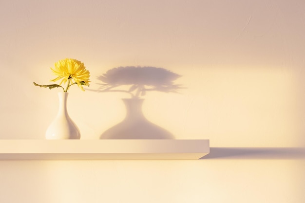 Chrysanthème jaune dans un vase sur une étagère blanche sur fond blanc