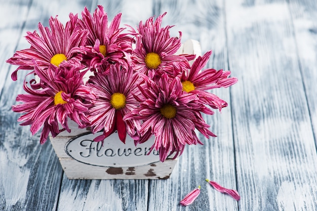 Chrysanthème mauve dans un pot en bois