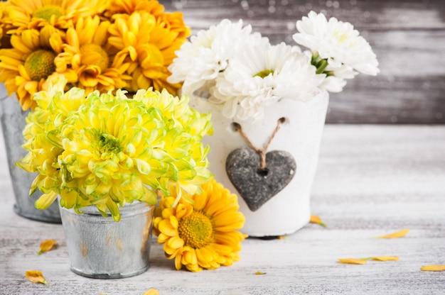 Chrysanthème en pot d'étain