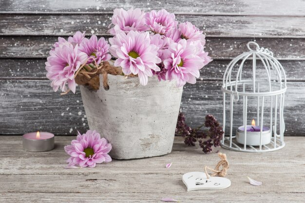 Chrysanthème rose en pot de béton avec des bougies