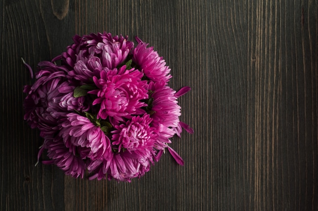 Chrysanthème violet sur table