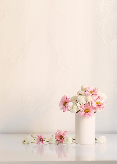 Chrysanthèmes blancs et roses dans un vase sur fond blanc