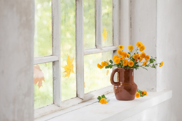 Chrysanthèmes dans un vase blanc