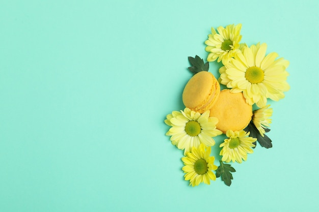 Chrysanthèmes jaunes et macarons sur fond menthe.