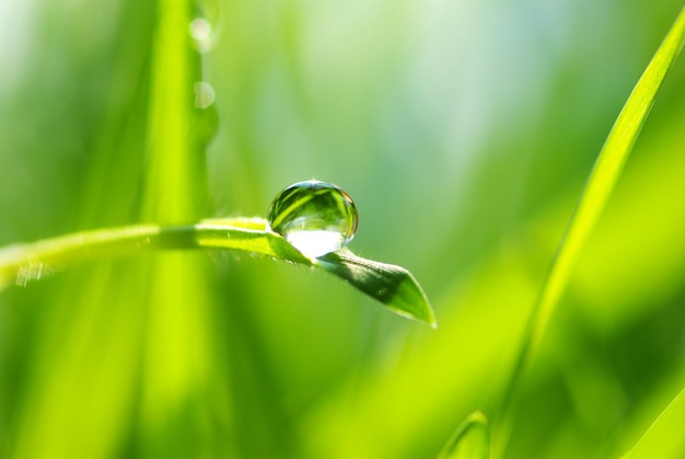 Chute dans l'herbe