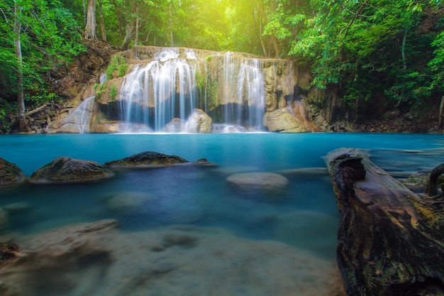 Chute d&#39;eau avec arbre dans la forêt profonde, Kanchanaburi, Thaïlande