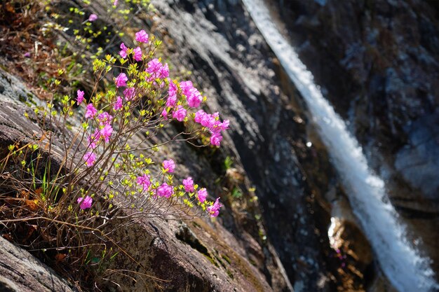 Photo la chute d'eau de biryong