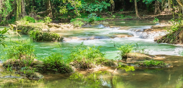 Chute d'eau dans une forêt sur la montagne dans la forêt tropicale