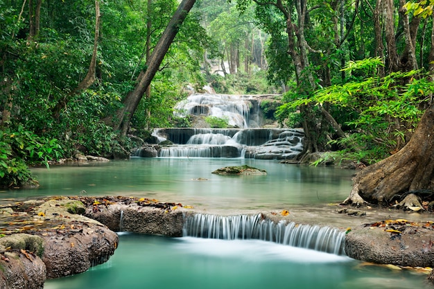 Photo chute d'eau dans la forêt profonde sur la montagne