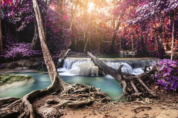 Chute d&#39;eau dans la forêt profonde