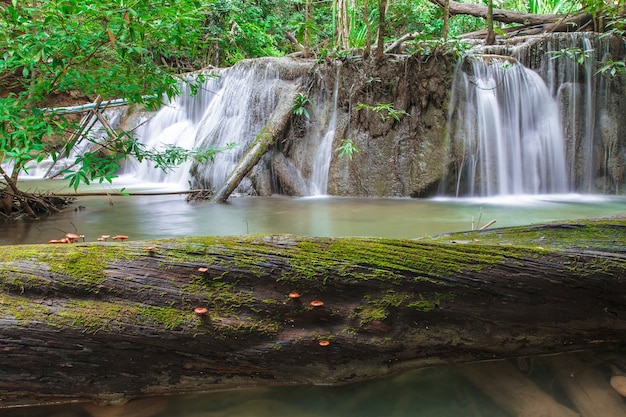 Chute d&#39;eau dans la forêt profonde