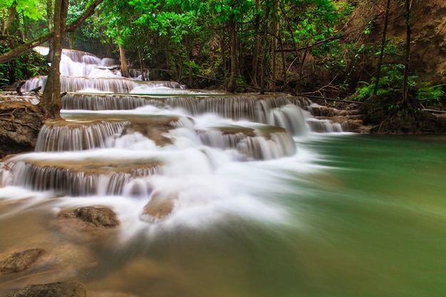 Chute d&#39;eau dans la forêt profonde