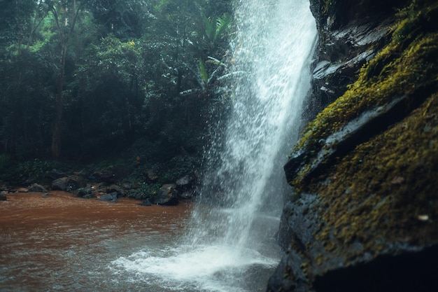 Chute d'eau dans la forêt tropicale pendant la saison des pluies