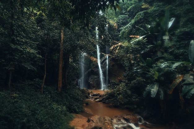 Chute d'eau dans la forêt tropicale pendant la saison des pluies