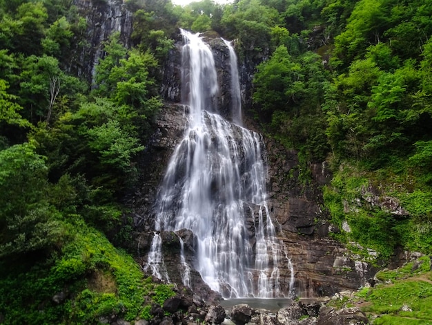 Chute d'eau dans la forêt